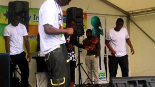 CHRIS VIBES,L'DUBZY AND SHO KWARMZ (CHRIS VIBES CAMP) @ GHANA PARTY IN THE PARK 2011