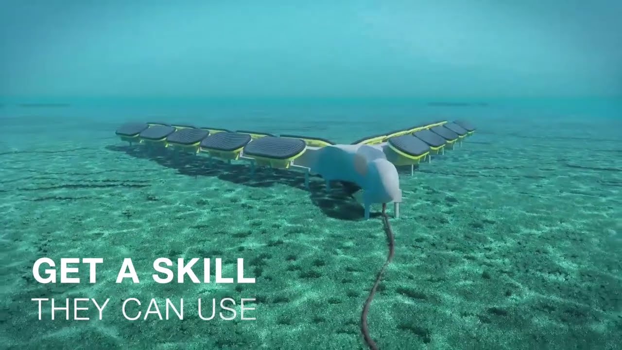 DFTT Employer Focus, Bombora Wavepower.