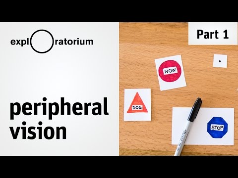 Test your peripheral vision and discover the outer limits of your eyes - Science Snacks activity