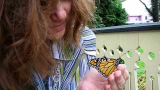 She&#39;s a Butterfly - Martina McBride