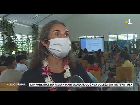 𝙈𝙊𝙆𝘼𝙍𝙍𝘼𝙉 𝘼𝘾𝘼𝘿𝙀𝙈𝙄𝙀👩🏽‍🎓🦈