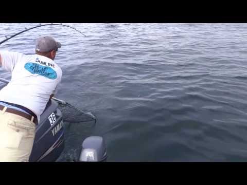 00004  Lake Erie WALLEYE