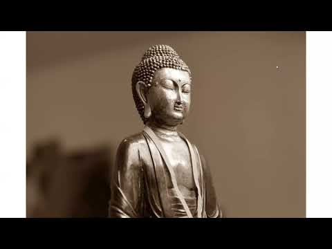 Calling out to Hungry Hearts 12/1/20