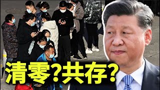 辉瑞口服药批准，不再清零吗，舆论造势放宽清零政策，中共措施破绽百出【时事追踪】