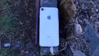 iphone 7 screen and water test