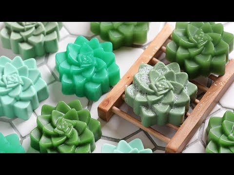 Succulent Melt and Pour Soap Kit