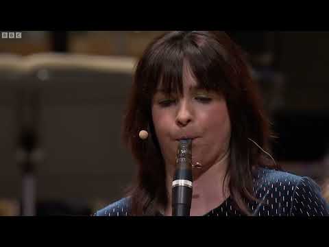 Clarinet Concerto (Sutra)