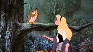 Sleeping Beauty - I wonder