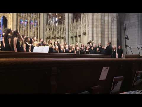 Il est bel et bon (Pierre Passereau) - Académie Lafontaine