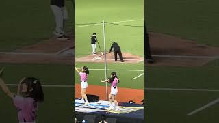 【PREMIER12 STARS】#千紘 #希美 #KAHO #各務礼美奈 #十元 日本VS韓国@台北ドーム20241115 #台湾チア #cheerdance #cheerleading #啦啦隊