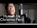 Christina Perri - Human (Cover by Raymond Salgado)