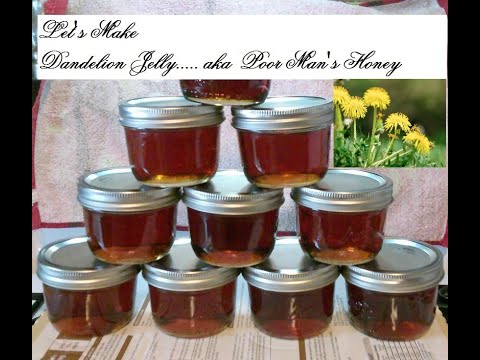Water bath canning & making Dandelion Jelly, aka Poor Man's Honey. Delicious!
