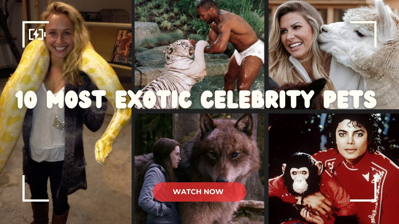 10 Most Exotic Celebrity Pets