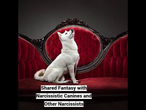 Shared Fantasy with Narcissistic Canines and Other Narcissists (with Raquel Petersen Gesteira)