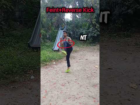 Feint+Reverse Kick #mma #muaythai #shortsviral #shortsfeed #tutorials #viralshort