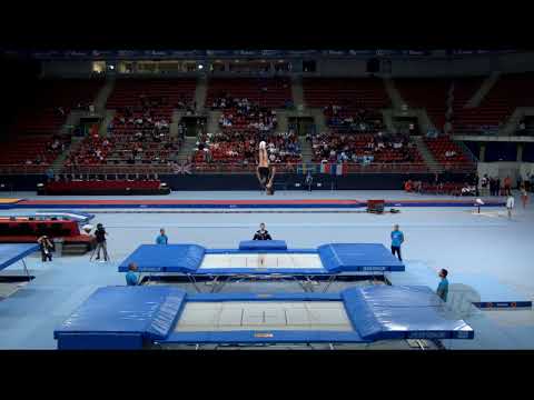 SCHMIDT Dylan (NZL) - 2017 Trampoline Worlds, Sofia (BUL) - Qualification Trampoline Routine 2