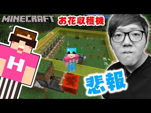 Wheel350の年収 総収入は Youtubeランキング