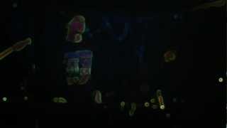 T3RR3STRiAL - Archer On The Beach "cover" (Live @ the Mansion)