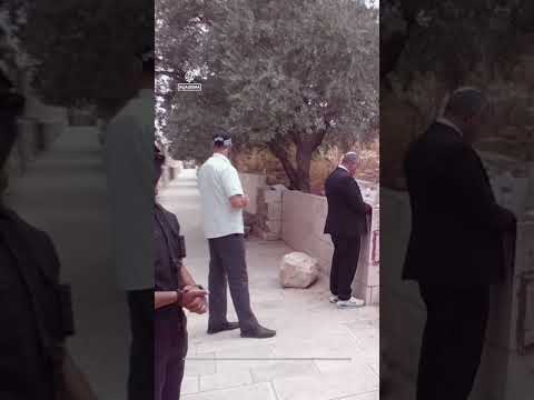 Far-right Israeli Minister Itamar Ben-Gvir and settlers storm Al-Aqsa Mosque | AJ #shorts