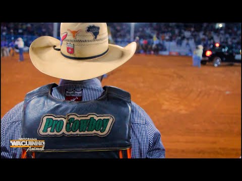 Programa Waguinho Animal (17-05-2025)