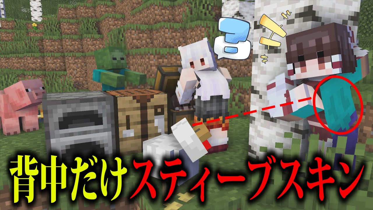 【検証】【背中だけスティーブのスキンなのを友達はいつ気づく！？】