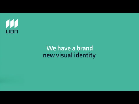Meet the new LION Engineering – Brand and visual identity introduction