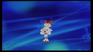 【ソードシールド】ポケットモンスターシールドで遊んでみたPart3～ヒバニーついに進化するよ～
