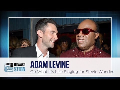 Adam Levine Remembers How Nervous He Was Performing for Stevie Wonder