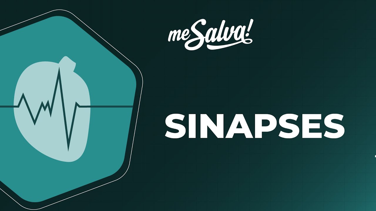 Sistema Nervoso – Sinapses - Fisiologia - Me Salva! Saúde
