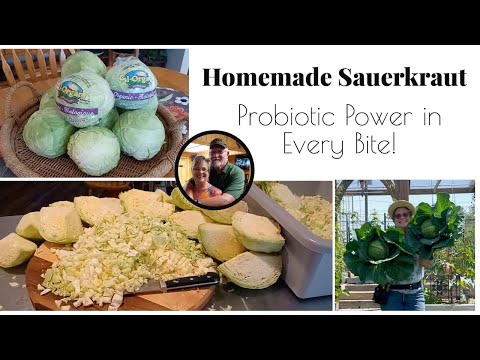 How to Make Lacto-Fermented Sauerkraut | Easy Probiotic Recipe for Gut Health