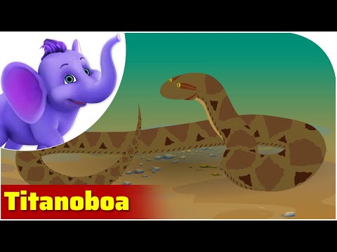 Titanoboa - Prehistoric Animal Songs