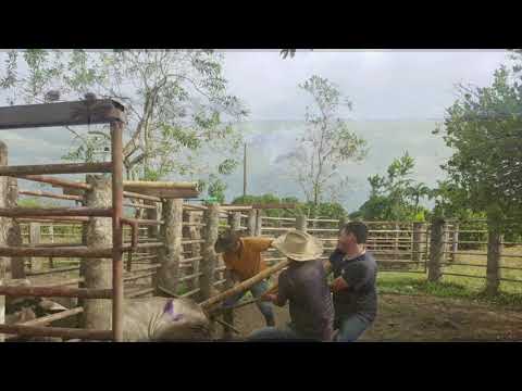 Hombre De Colcha Y Cobija - Hernando Saavedra