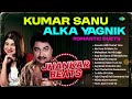 Kumar Sanu Alka Yagnik Romantic Gawah Hai Chand Tare Ab Tere Dil Mein To Old Hindi Songs