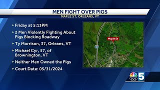 Men fight over pigs blocking roadway