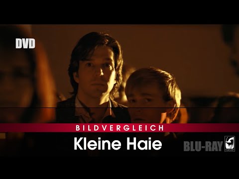 Trailer-Vorschau: Kleine Haie