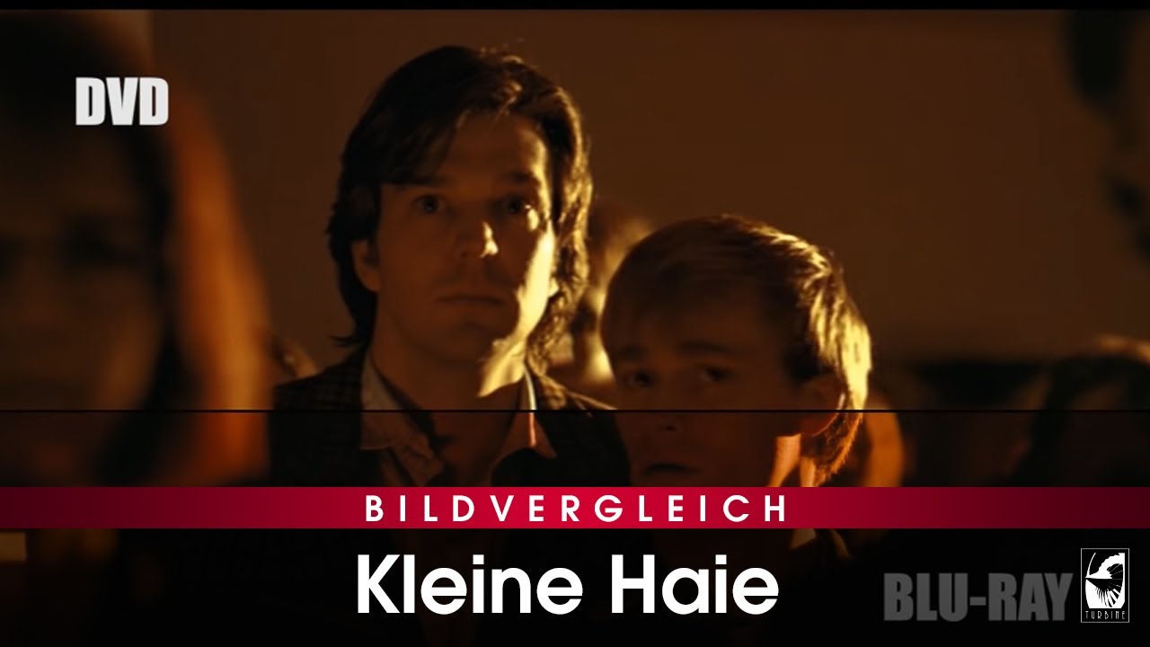 Kleine Haie