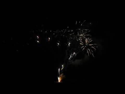 Wizard Z shape whistling tail to brocade with white strobe 4/1 WPL25CA3001E