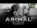Hua Main - Animal || Lofi Mix || Ranbir Kapoor || ANIMAL: HUA MAIN (Song)
