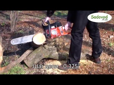 Видео Бензопила SADKO GCS-560E в работе