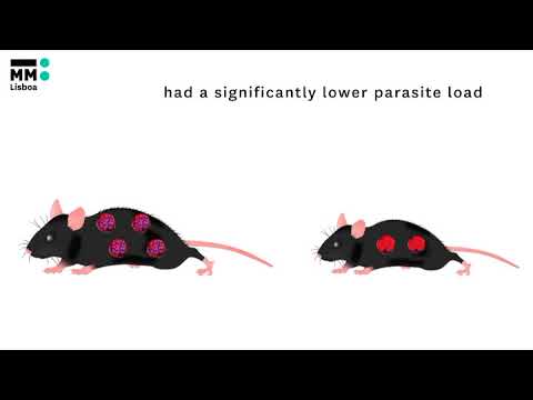 ParasiteNutriSensing, Nutrient Sensing by Parasites | Less is Better