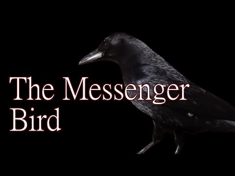 "The Messenger Bird" - Creepypasta