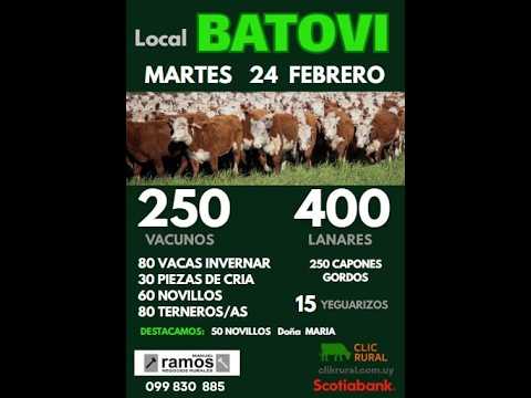 24/2/2026  Local Batoví - Tacuarembó - Escritorio Manuel Ramos