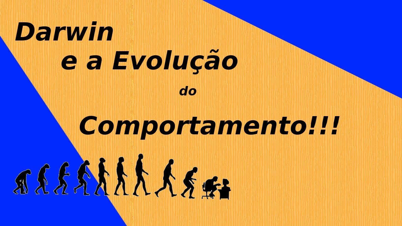A evolução do comportamento