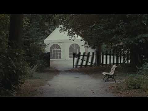 birds that flew and ships that sailed