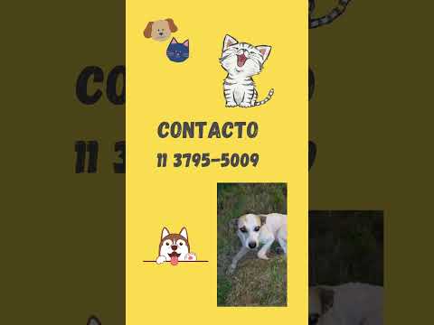 URGENTE ESTÁ AL COSTADO DE UNA RUTA