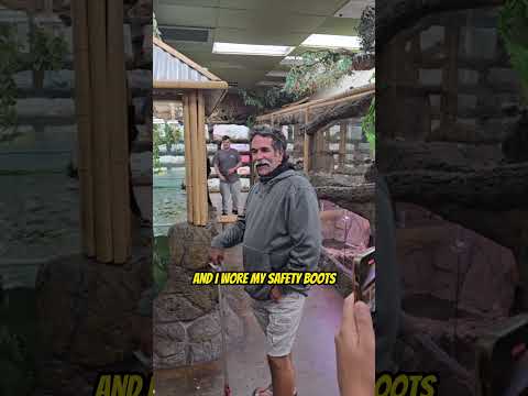 Jay feeds the American Alligators at the Reptile Zoo! ???? - Part 2 #alligator #alligators #animals