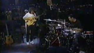Pat Metheny performs Antonio Carlo Jobim