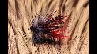 Tying a Claret Irish Stimulator with Martyn White