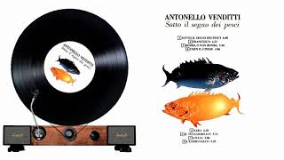 Antonello Venditti  -  Bomba o Non Bomba