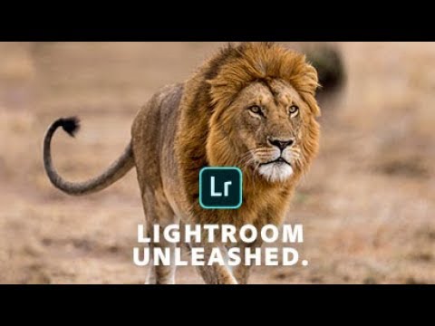 Lightroom Unleashed - Use Sharpening to Bring Out the Details I Adobe UK